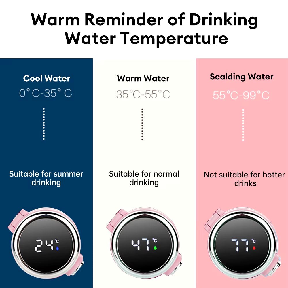 420Ml Led Digital Temperature Display Thermos Cup Portable Travel Mug Stainless Steel Thermos Bottle Vacuum Insulated Cup Allinoneshop-24