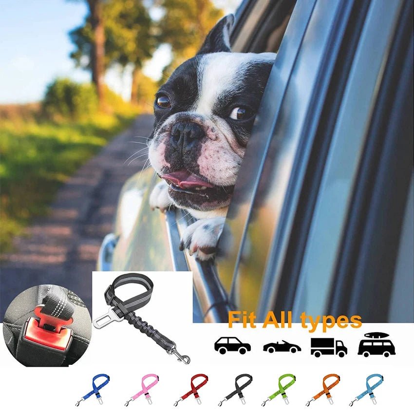 Dog Car Seat Belt Elastic Adjustible Leash Belt for Pet Car Travel Dog Cat Safety Rope Pet Travel Essentials Accessories Allinoneshop-24