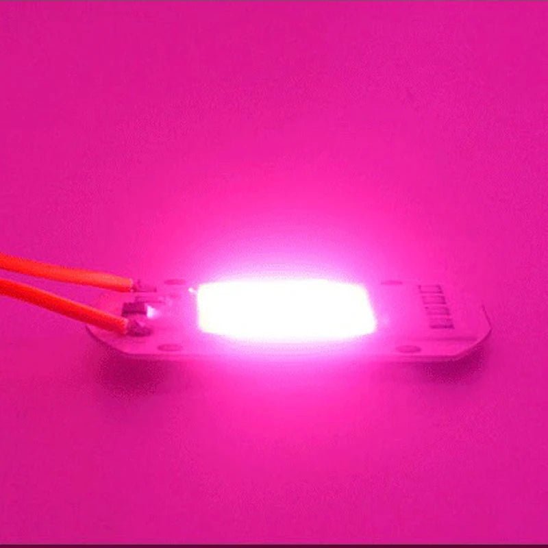 LED Grow COB Chip Phyto Lamp Full Spectrum AC220V 10W 20W 30W 50W for Indoor Plant Seedling Grow and Flower Growth Lighting Allinoneshop-24