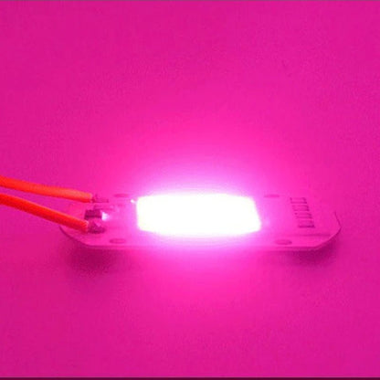 LED Grow COB Chip Phyto Lamp Full Spectrum AC220V 10W 20W 30W 50W for Indoor Plant Seedling Grow and Flower Growth Lighting Allinoneshop-24