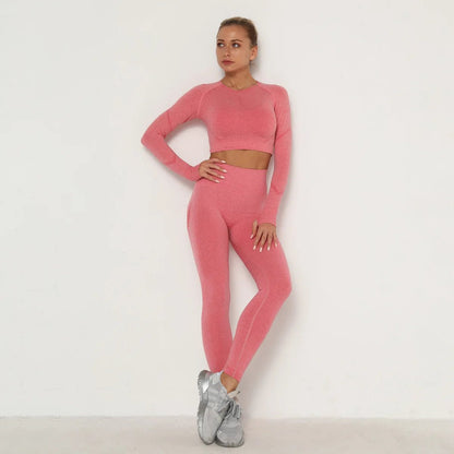 Seamless Women Gym Set Long Sleeve Top Belly Control High Waist Sport Leggings Gym Clothes Girls Tracksuit Sport Suit Sportwear Allinoneshop-24