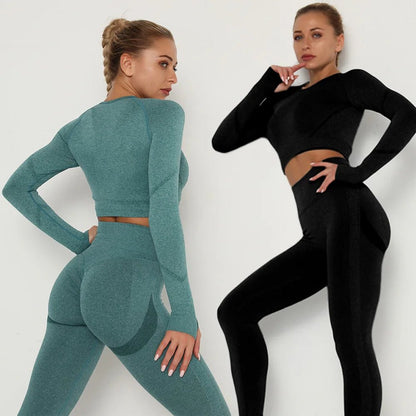 Seamless Women Gym Set Long Sleeve Top Belly Control High Waist Sport Leggings Gym Clothes Girls Tracksuit Sport Suit Sportwear Allinoneshop-24